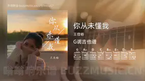 你从未懂我 王佳杨 吉他谱G调简单版