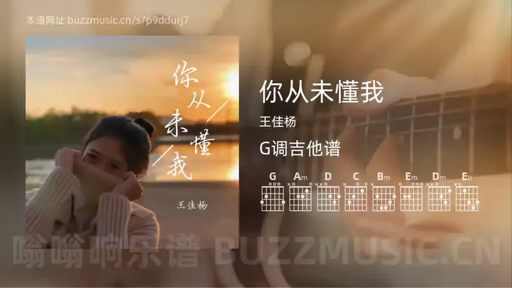 你从未懂我 王佳杨 吉他谱G调简单版