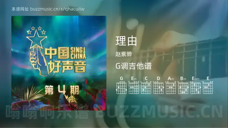 理由 赵紫骅 吉他谱G调简单版