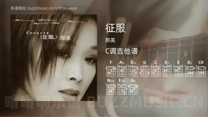 征服 那英 吉他谱C调简单版