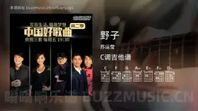 野子 苏运莹 吉他谱C调简单版