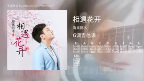 相遇花开吉他谱G调 海来阿木 简单版