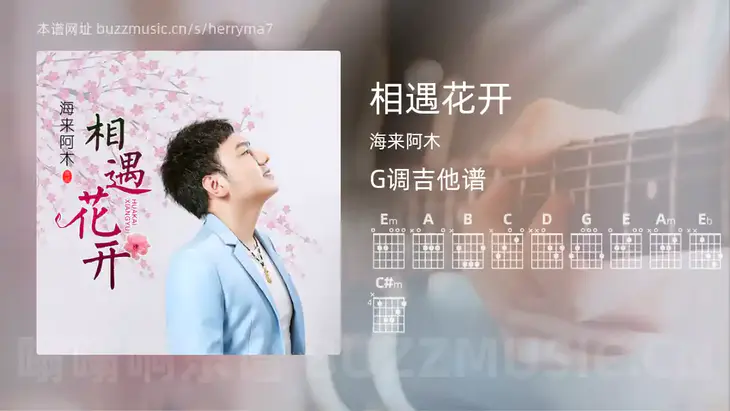 相遇花开吉他谱G调 海来阿木 简单版