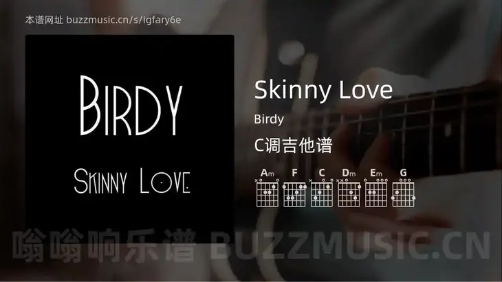 Skinny Love Birdy 吉他谱C调简单版