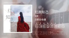 红颜知己 安静 吉他谱G调简单版