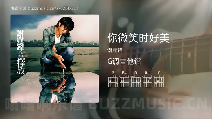 你微笑时好美 谢霆锋 吉他谱G调简单版