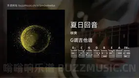 夏日回音 柳爽 吉他谱G调简单版