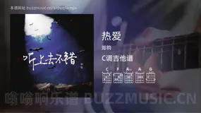 热爱吉他谱C调 郑钧 简单版