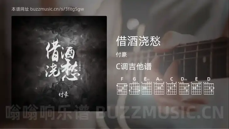 借酒浇愁 付豪 吉他谱C调简单版