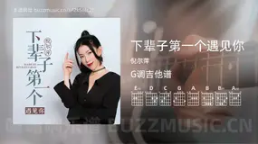 下辈子第一个遇见你 倪尔萍 吉他谱G调简单版