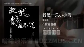 我是一只小小鸟 李宗盛 吉他谱G调简单版