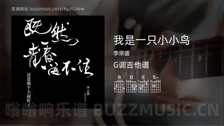 我是一只小小鸟 李宗盛 吉他谱G调简单版