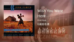 Wish You Were Here Pink Floyd 吉他谱G调简单版