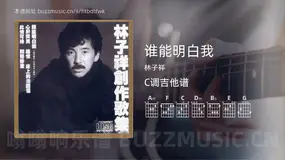 谁能明白我吉他谱C调 林子祥 简单版