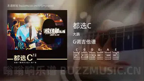 都选C 大鹏 吉他谱G调简单版