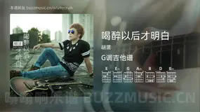 喝醉以后才明白 胡蒎 吉他谱G调简单版