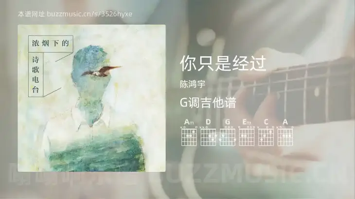 你只是经过 陈鸿宇 吉他谱G调简单版