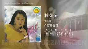 桃花运 杨钰莹 吉他谱C调简单版
