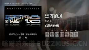 远方的风吉他谱C调 毛不易 简单版