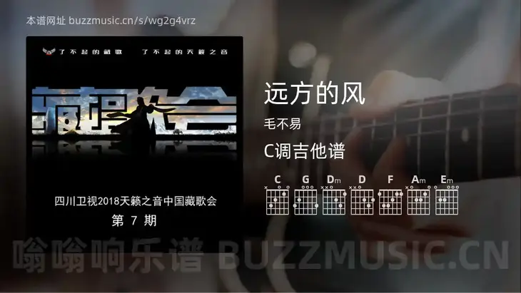 远方的风吉他谱C调 毛不易 简单版