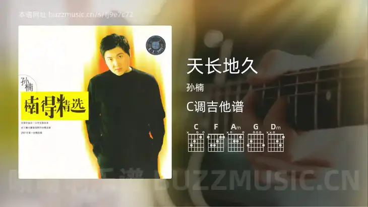 天长地久 孙楠 吉他谱C调简单版
