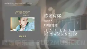 感谢有你吉他谱C调 刘大美人 简单版