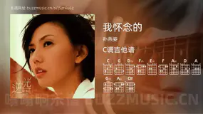 我怀念的 孙燕姿 吉他谱C调简单版