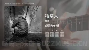 稻草人 暗杠 吉他谱G调简单版