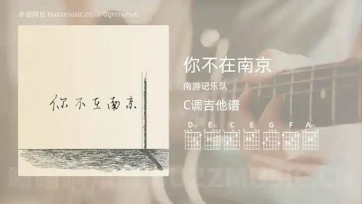 你不在南京 南游记乐队 吉他谱C调简单版