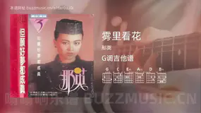 雾里看花 那英 吉他谱G调简单版