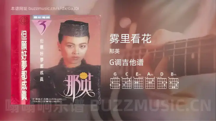 雾里看花 那英 吉他谱G调简单版