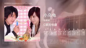 小乌龟 张栋梁 吉他谱C调简单版