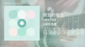 眼泪的错觉 王露凝,乔海清 吉他谱G调简单版