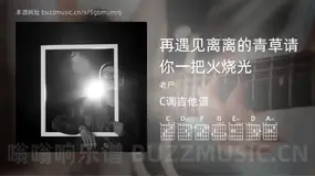 再遇见离离的青草请你一把火烧光 老尸 吉他谱C调简单版