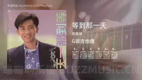 等到那一天 苏有朋 吉他谱G调简单版