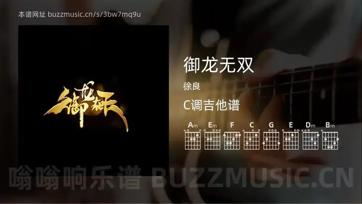 御龙无双 徐良 吉他谱C调简单版
