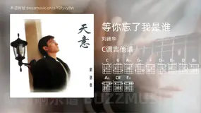 等你忘了我是谁 刘德华 吉他谱C调简单版
