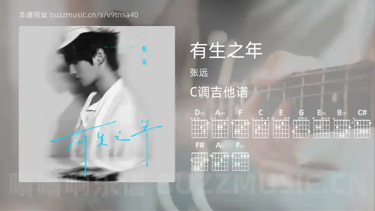 有生之年 张远 吉他谱C调简单版