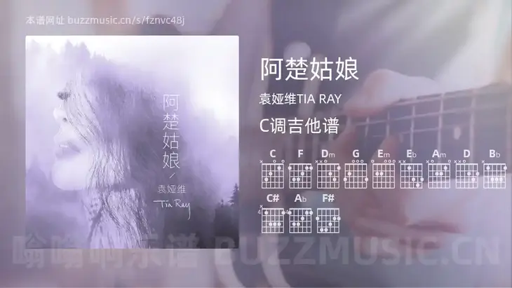 阿楚姑娘 袁娅维TIA RAY 吉他谱C调简单版