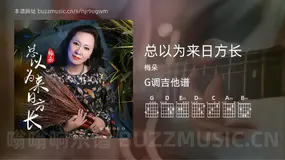 总以为来日方长 梅朵 吉他谱G调简单版