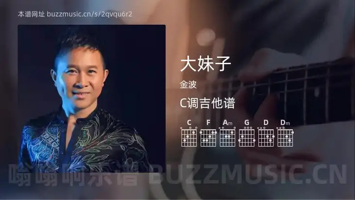 大妹子 金波 吉他谱C调简单版