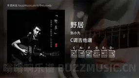 野居 张小九 吉他谱C调简单版