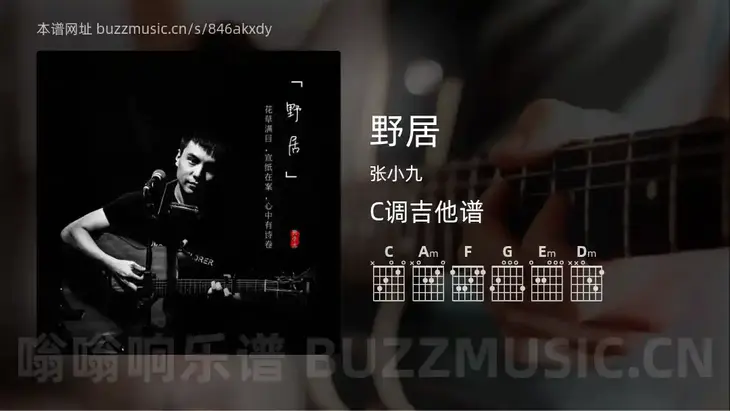 野居 张小九 吉他谱C调简单版