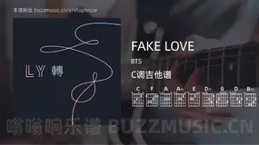 FAKE LOVE BTS 吉他谱C调简单版