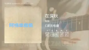 在深秋 阿悄 吉他谱C调简单版