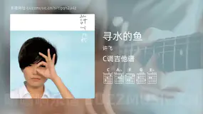 寻水的鱼吉他谱C调 许飞 简单版
