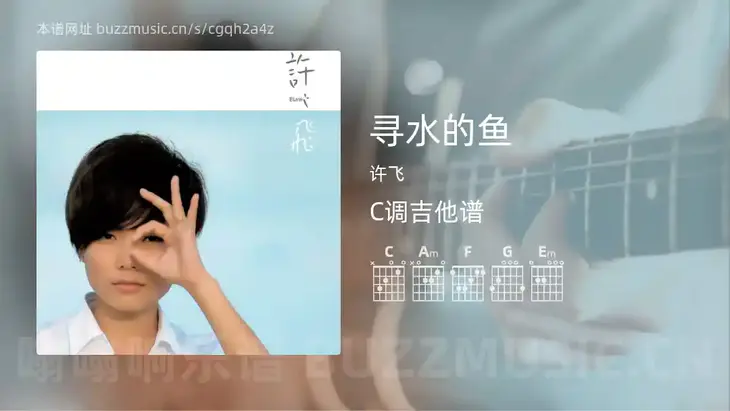 寻水的鱼吉他谱C调 许飞 简单版