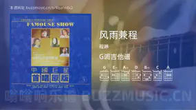风雨兼程 程琳 吉他谱G调简单版