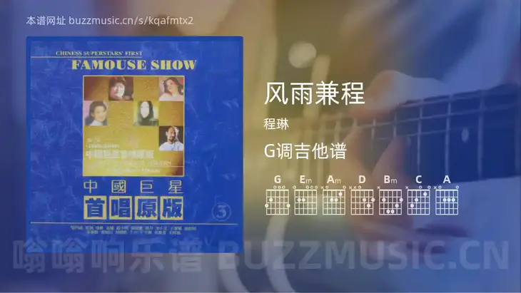 风雨兼程 程琳 吉他谱G调简单版