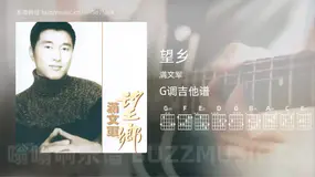 望乡吉他谱G调 满文军 简单版